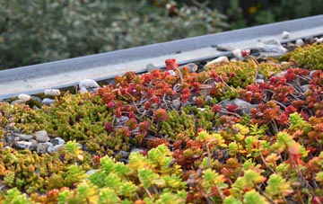 the cost of Chertsey green roof installation